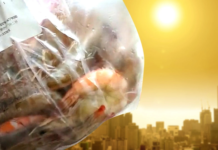 Nắng nóng ở Trung Quốc làm tôm tự chín trên đường từ chợ về nhà