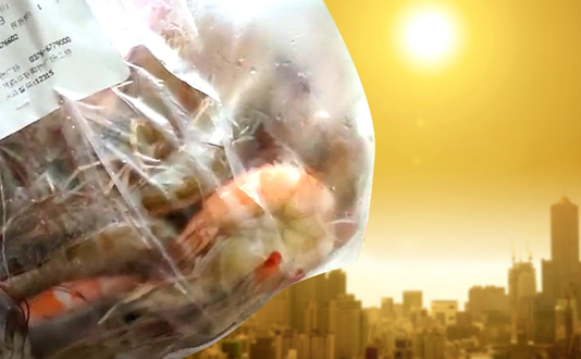 Nắng nóng ở Trung Quốc làm tôm tự chín trên đường từ chợ về nhà