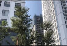 Phát hiện bất ngờ vụ cô gái trẻ t.ử v.ong trong căn chung cư khi ở cùng bạn trai