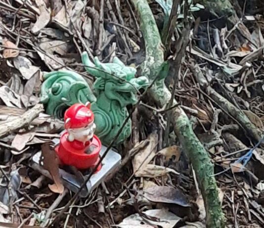 Tình tiết mới gây ngạc nhiên xuất hiện trong vụ 2 bộ xương khô giữa rừng