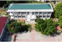 Nữ kế toán bị chồng cũ vác dao “truy sát” ngay cổng trường