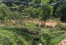 Phát hiện thi thể cô giáo sau 4 ngày mất tích: Bị “mắng vốn” đánh học sinh trước khi t.ự t.ử?