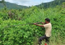 Hy hữu người săn thú bắn ch.ế.t người bẫy gà