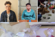 Phá đường dây ma túy ngụy trang trong bao măng khô, bao gạo do Yến “ma” cầm đầu