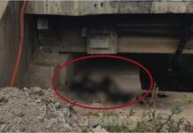 Phát hiện thi thể cháy đen dưới chân cầu Sông Bé