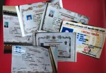 Khuất tất từ tấm thẻ võ sư võ cổ truyền