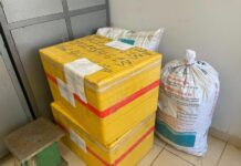 Triệt phá đường dây trồng, tiêu thụ cần sa quy mô lớn ở Tây Nguyên