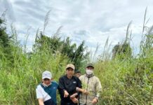 Tước đoạt mạng người chỉ để cướp 1 điện thoại