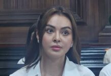 Từ vụ Trang Nemo, phụ nữ mang thai có được hoãn thi hành án?