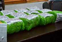 Công an TP HCM khuyến cáo người dân cẩn thận với một loại cỏ