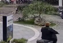 Đưa vé xe số 49 cho khách, nam bảo vệ quán cà phê bị hành hung dã man