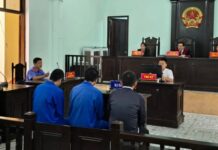 Vụ án mua bán thận: Tình thương đặt nhầm chỗ, 1 người lãnh án tù