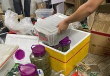 Lộ bí mật được cất giấu trong chiếc tủ gỗ