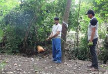 Bắt đối tượng hi.ếp d.â.m bé gái lúc rạng sáng khi bố mẹ đi cạo mủ cao su