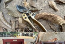 Nhóm đối tượng vào nhiều ngôi chùa ở Bà Rịa- Vũng Tàu “ôm” thùng tiền công đức