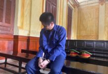 Sát hại vợ rồi nhảy từ tầng 15 t.ự t.ử nhưng bất thành, lãnh án chung thân