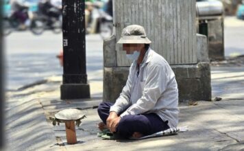Mua bán rùa ở đường phố để phóng sanh, coi chừng lãnh án tù