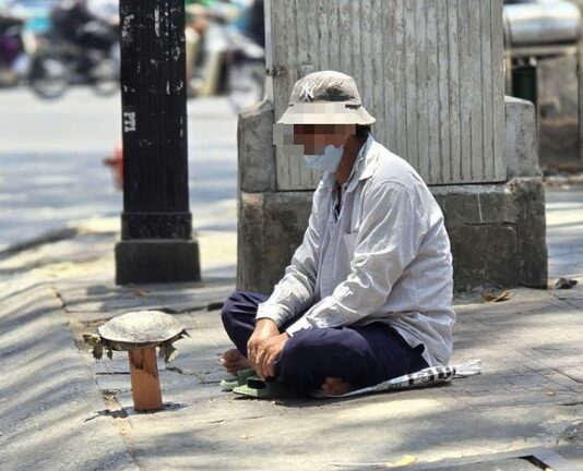 Mua bán rùa ở đường phố để phóng sanh, coi chừng lãnh án tù