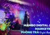 Mambo Digital định hình Marketing cho Phòng trà từ giai đoạn ra mắt