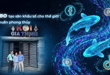 Mambo tạo sân khấu số cho thương hiệu cá Koi chuẩn phong thủy