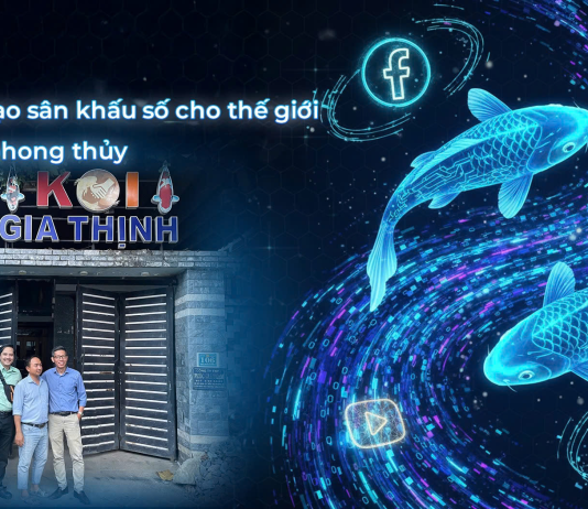 Mambo tạo sân khấu số cho thương hiệu cá Koi chuẩn phong thủy