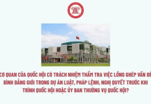 Cơ quan của Quốc hội có trách nhiệm thẩm tra việc lồng ghép vấn đề bình đẳng giới trong dự án luật, pháp lệnh, nghị quyết trước khi trình Quốc hội hoặc Ủy ban Thường vụ Quốc hội?