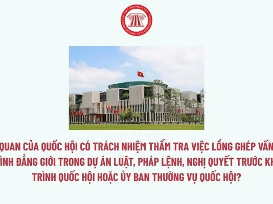Cơ quan của Quốc hội có trách nhiệm thẩm tra việc lồng ghép vấn đề bình đẳng giới trong dự án luật, pháp lệnh, nghị quyết trước khi trình Quốc hội hoặc Ủy ban Thường vụ Quốc hội?