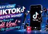 Chăm sóc TikTok chuyên nghiệp giúp thương hiệu dễ viral và tiếp cận khách hàng