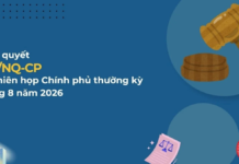 Nghị quyết 262/NQ-CP về phiên họp Chính phủ thường kỳ tháng 8 năm 2026 có những nội dung ra sao?